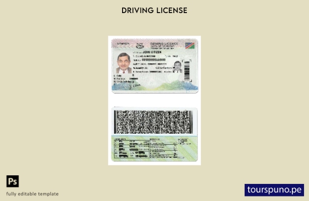 Plantilla de licencia de conducir de Namibia lista para imprimir